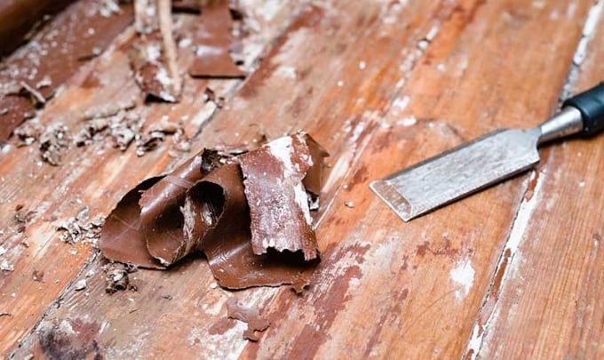 Scraping Paint From Hardwood